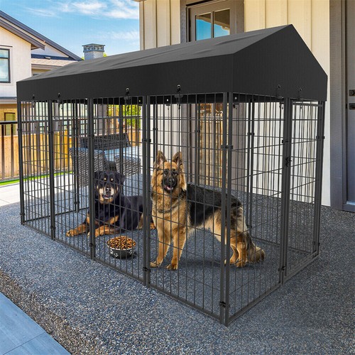 127cm 249cm xxxl dog - 127cm,
