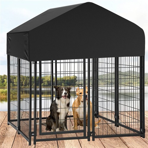 Outdoor lucky dog kennels - lucky,