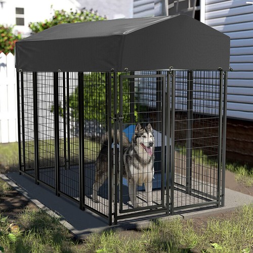 Tall large outdoor dog - outdoor,