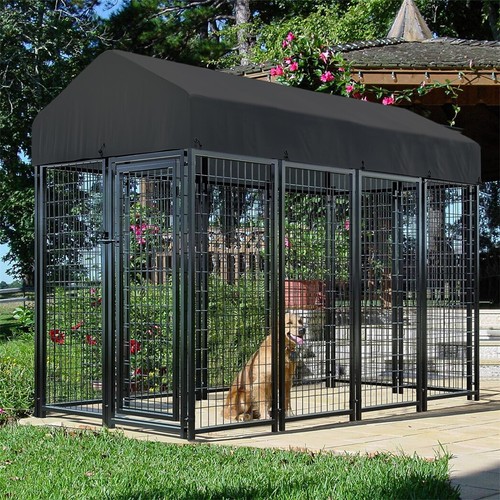 Heavy duty dog - heavy, pet