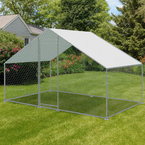 Kct 2x3m walk dog - 2x3m,