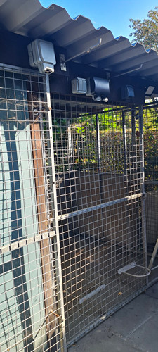 Outdoor metal dog - outdoor,