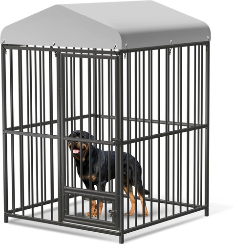 Large outdoor dog - large,